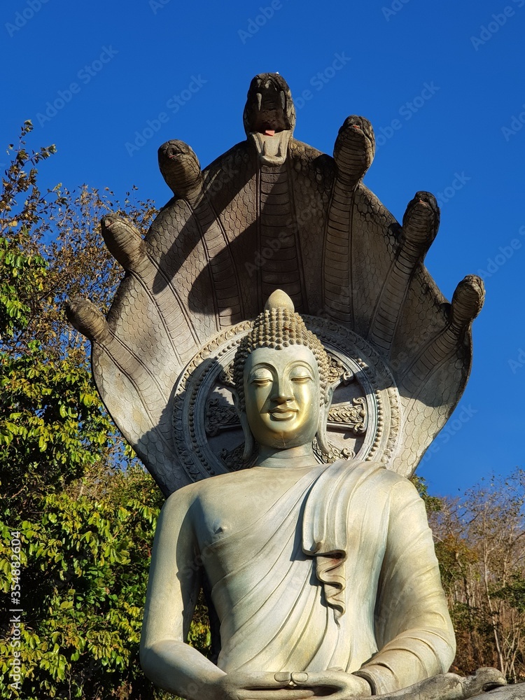 Obraz premium buddha statue in laos