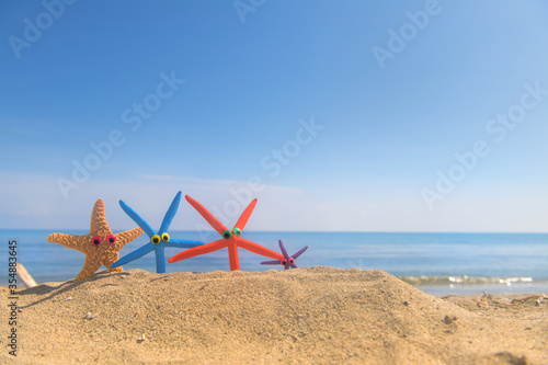 Funny starfishes at the beach