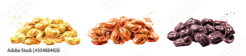 Various raisins set. Hand drawn watercolor illustration isolated on white background