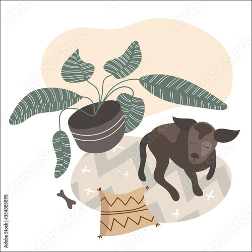 Vector illustration of Scandinavian living room interior with carpet and house plant in pot, dog laying on floor. Cozy modern apartment in nordic hygge style