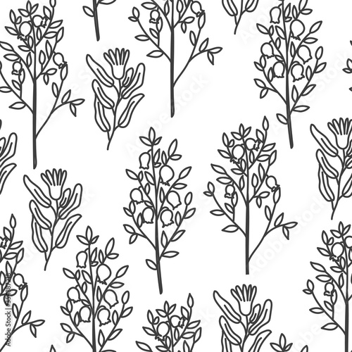 Pomegranate flower and branch seamless pattern hand drawn doodle style background. Black and white