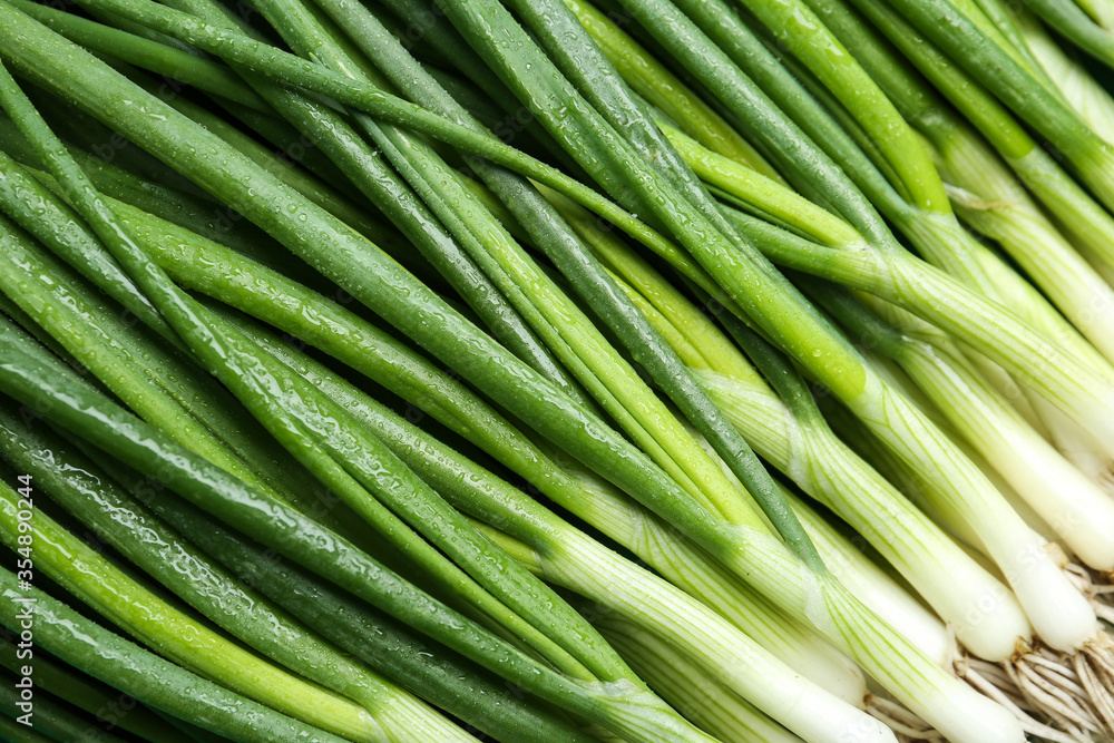 Fresh green spring onions as background, closeup Fresh green spring onions as background, closeup