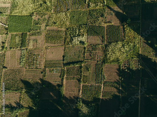 Many fields, photo from above. Aerial photography, agriculture, summer, greenery, grass, wheat field.