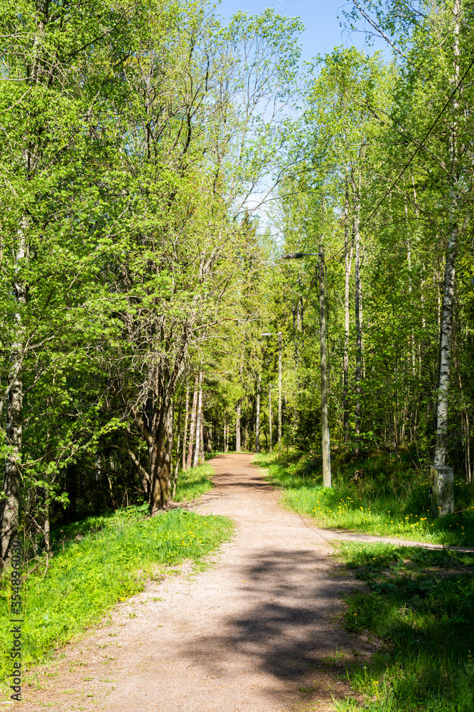 View of the jogging path in the forest, Masala, Kirkkonummi, Finland View of the jogging path in the forest, Masala, Kirkkonummi, Finland