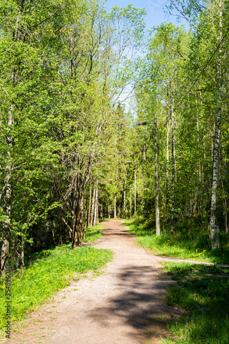 View of the jogging path in the forest, Masala, Kirkkonummi, Finland
