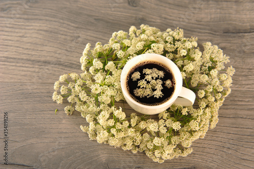 Cowparsley Flowers and Coffee Cup photo