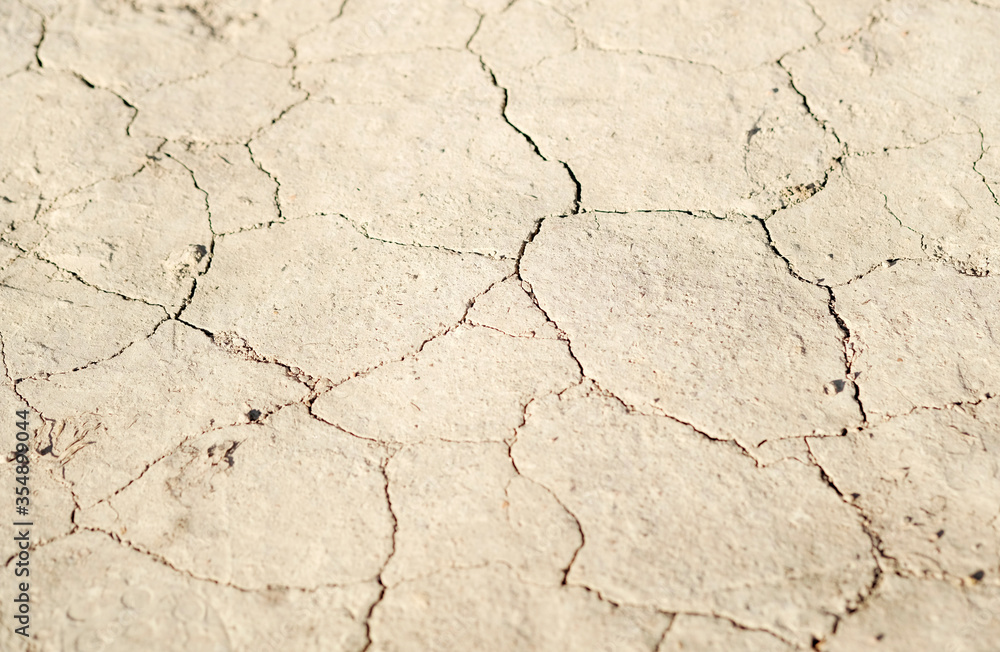Fototapeta premium Dry soil texture on the ground without rain