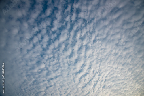 Sky Cirrocumulus cloud on a clear day 