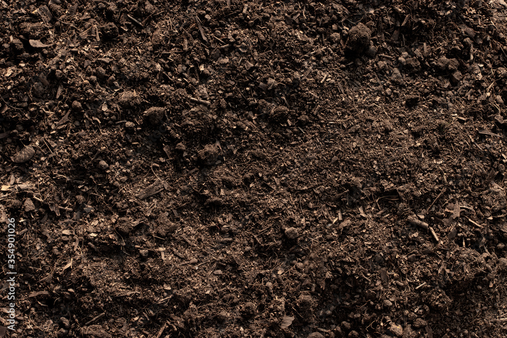 Soil texture background, Fertile soil for planting. Soil texture background, Fertile soil for planting.
