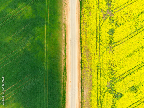 Field of blooming rapeseed top view from a drone. Summer landscape. Background. Pattern.