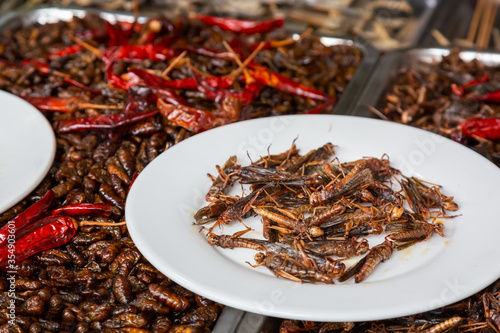 Photography Deep fried grasshoppers in Zhujiajiao Old Town in Shanghai, China at the street market window