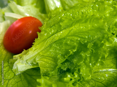 Obraz na plátně juicy green lettuce and tomato for salad, healthy eating vegetables