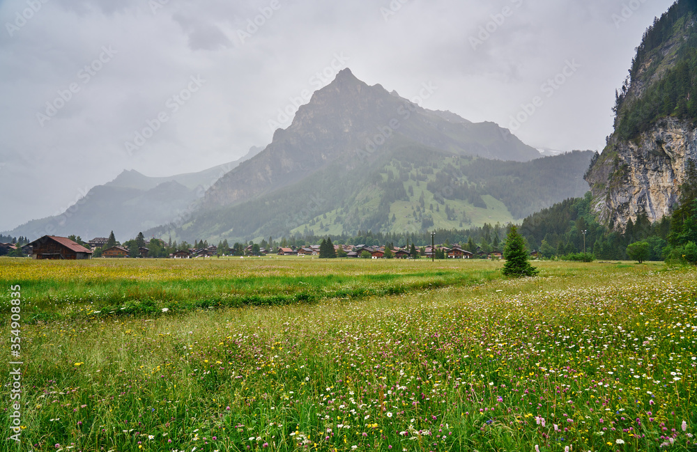 Swiss Alps landscape shot of meadow, village and mountains on a foggy and rainy day, canton of Bern, Switzerland       