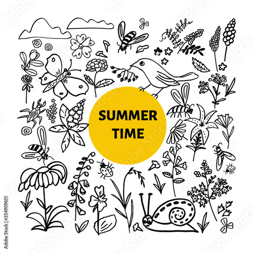 Floral hand drawn vintage set. Vector wildflowers, leaves, insects and birds collection. Sketch art illustration