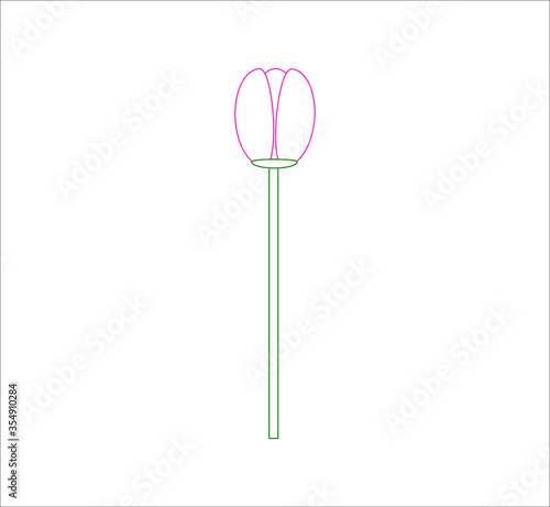 tulip flower vector. illustration for web and mobile design.