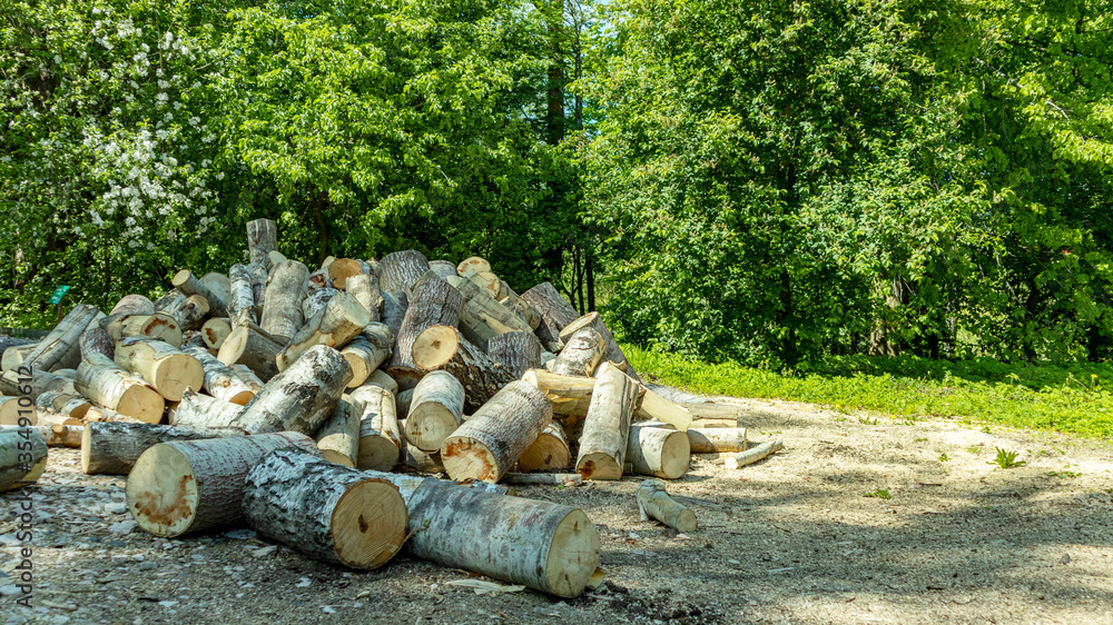 a pile of unbroken wood on the ground a pile of unbroken wood on the ground