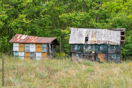 colorful hives with grass, numbers and bees