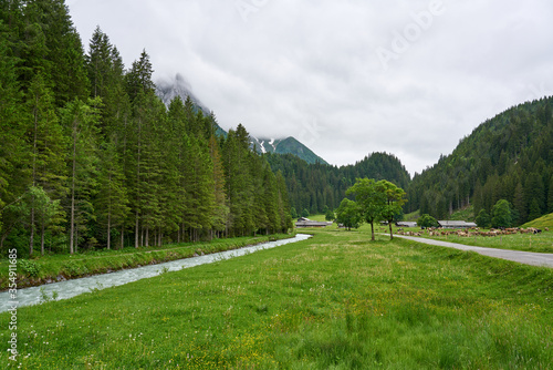 Landscape of Rychenbach river, meadow and green nature of Swiss Alps on a rainy day. Taken in Alpine valley Reichenbachtal, Oberhasli, canton of Berne, Switzerland. photo
