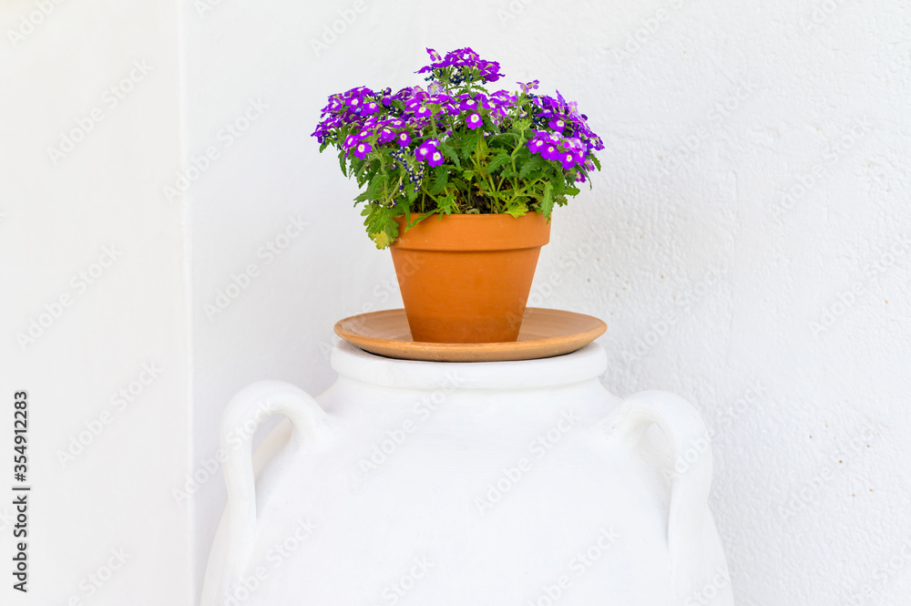 Vaso con fiori di colore viola posizionati su piedistallo di colore bianco.