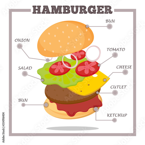 Hamburger Ingredients Infographic for poster  menu  web  banner. Classic American Cheeseburger with Lettuce Tomato Onion Cheese and Meat. Vector flat cartoon style illustration.