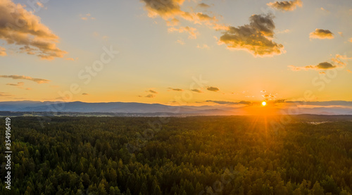 Spring forest aerial view from above during sunset
