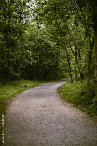 Park trail through woods.