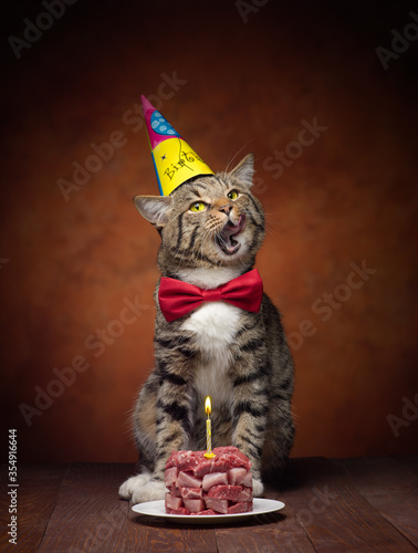 happy birthdays cat