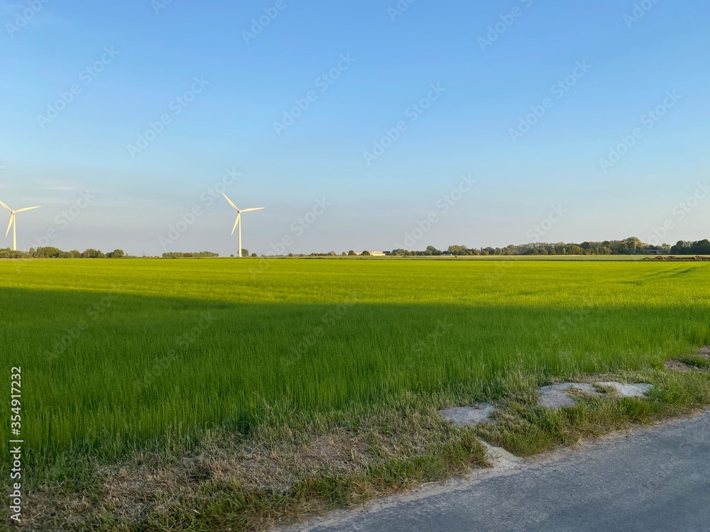Fototapeta premium Je fais des photos disponibles prises avant et pendant un coucher de soleil pendant une petite promenade. petites sorties très agréables, avec beaucoup de beaux paysages. avec l’été, je pouvais refair