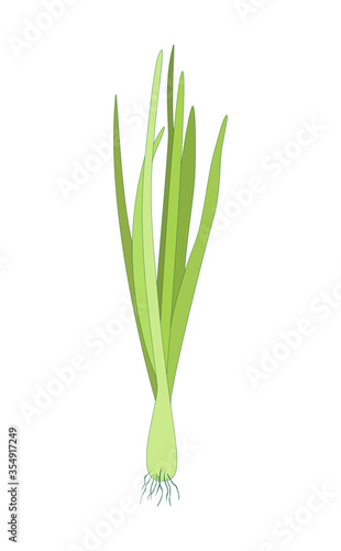 Spring Sprouting onion isolated on white background. Lined vector illustration. Fresh green food