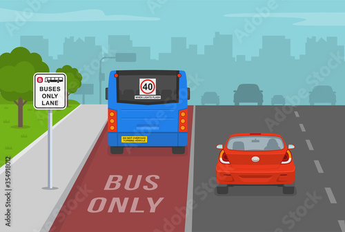 Australian city street with bus lane. Back view. Flat vector illustration.