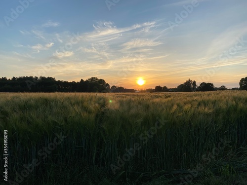 Je fais des photos disponibles prises avant et pendant un coucher de soleil pendant une petite promenade. petites sorties tr  s agr  ables  avec beaucoup de beaux paysages. avec l     t    je pouvais refair