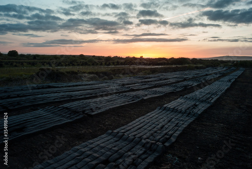Field of cultivated peat bog bricks drying in rural Ireland at sunset