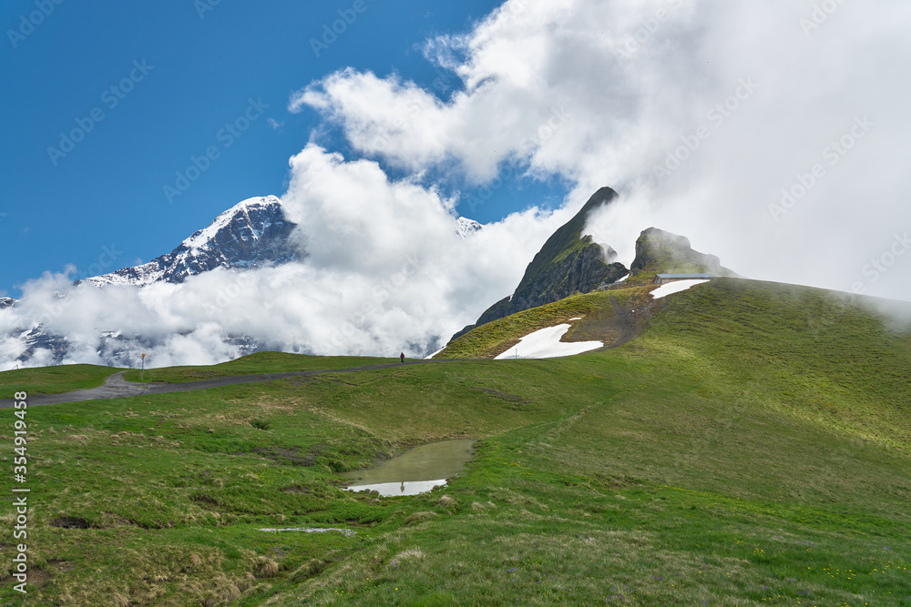 Obraz premium Clouds covering snowy mountains. Swiss Alps landscape with meadow and green nature. Taken in Männlichen, Grindelwald mountains, Bernese Alps, Switzerland.