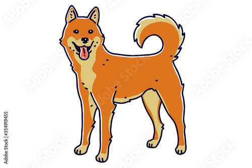 Jindo dog. Vector illustration. The Korean Jindo is a breed of hunting dog that originated on Jindo Island in South Korea. photo