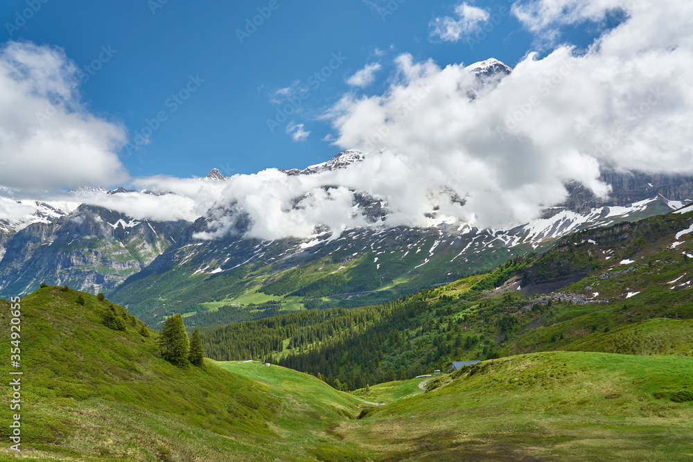 Swiss Alps landscape with meadow, snowy mountains and green nature. Taken in Grindelwald mountains, Mannlichen - Alpiglen Trail, Switzerland.