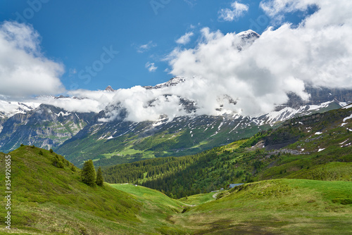 Swiss Alps landscape with meadow, snowy mountains and green nature. Taken in Grindelwald mountains, Mannlichen - Alpiglen Trail, Switzerland. © yalcins