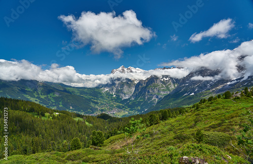 Swiss Alps landscape with meadow  snowy mountains and green nature. Taken in Grindelwald mountains  Mannlichen - Alpiglen Trail  Switzerland.