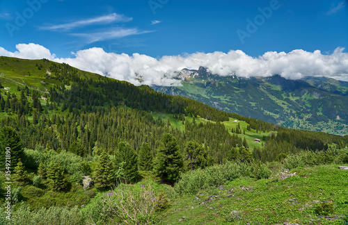 Swiss Alps landscape with meadow, snowy mountains and green nature. Taken in Grindelwald mountains, Mannlichen - Alpiglen Trail, Switzerland.