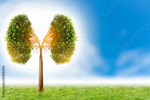 Illustration of lung tree  Environment and Medicine 