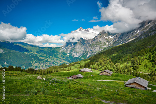 Swiss Alps landscape with meadow  snowy mountains and green nature. Taken near village in Grindelwald mountains  Mannlichen - Alpiglen Trail  Switzerland.