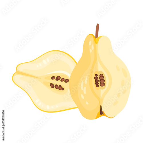 Halved Quince Showing Light Flesh with Seeds Vector Illustration