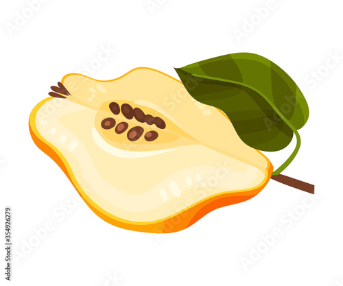 Halved Quince Showing Light Flesh with Seeds Vector Illustration