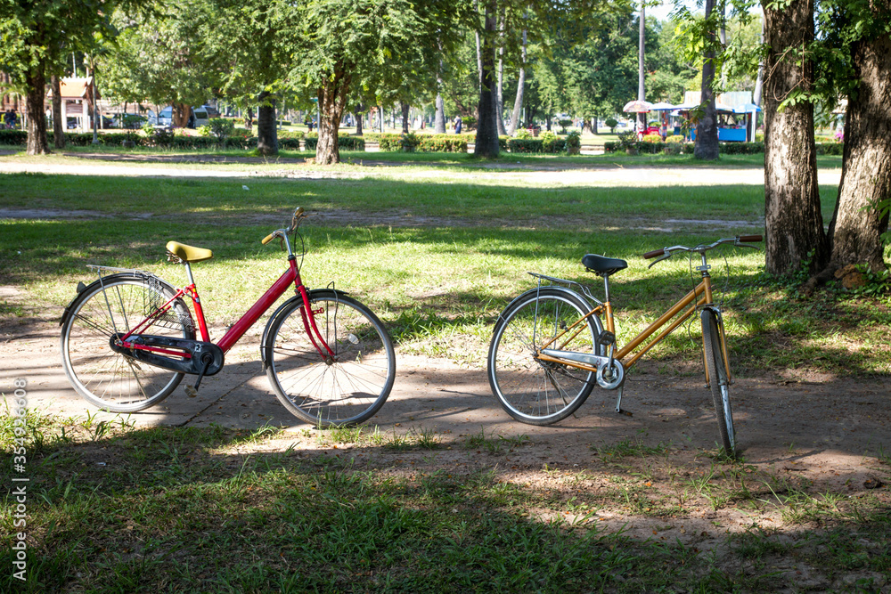 Fototapeta premium bicycles in the park