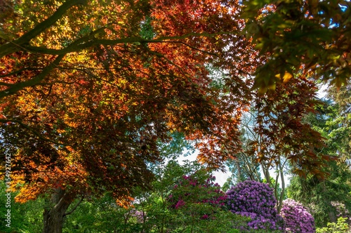 Botanischer Garten