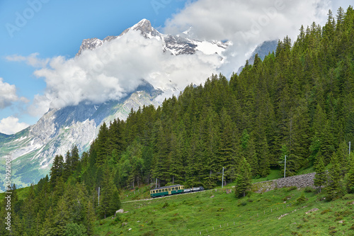 Swiss Alps landscape with meadow, snowy mountains and green nature. Taken in Grindelwald mountains, Mannlichen - Alpiglen Trail, Switzerland. photo