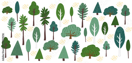 Cute trees clipart handdrawn flat vector illustration.  Set of trees in the forest cartoon elements. Birch, fir, pine, spruce, oak, aspen isolated on white background. Nature in scandinavian style photo