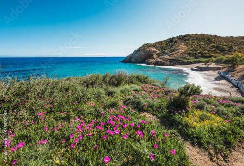 Italy, Elba island panoramic view of beautiful flowery coast with emerald water Tuscany, Italy.