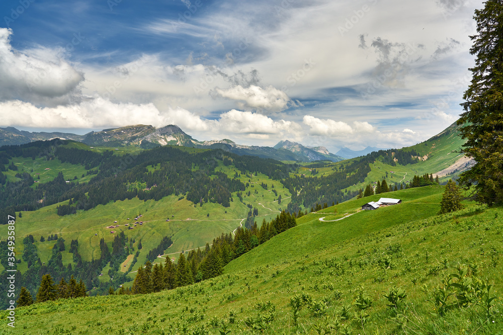 Obraz premium Landscape with Swiss Alps mountains and green nature. Photo taken at Hardergrat ridge trail / hike, near Interlaken, Switzerland. 