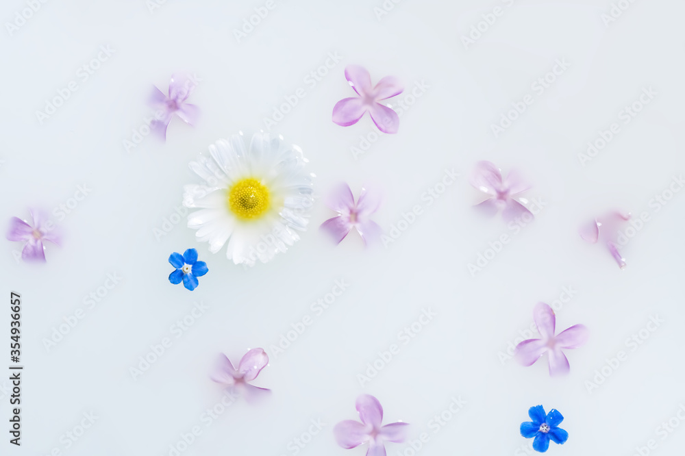 Delicate flowers and leaves in milk white background.