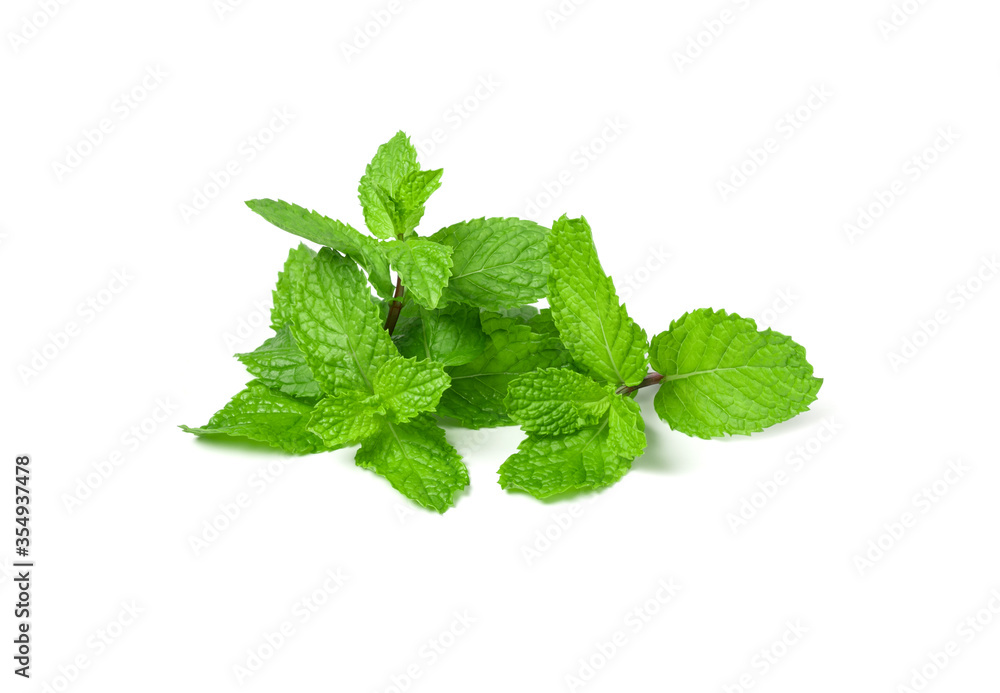 Fresh mint leaves isolated on white background. Fresh mint leaves isolated on white background.